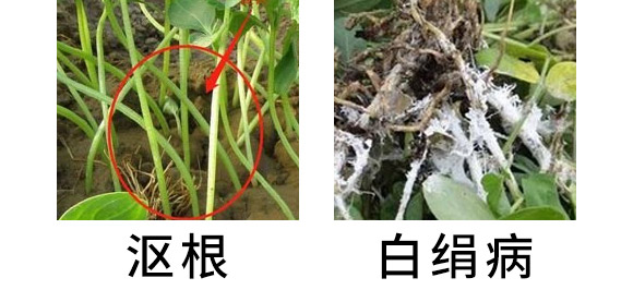 30%���ס��fù�`ˮ��-�L�p����-�L�p�r(n��ng)ˎ