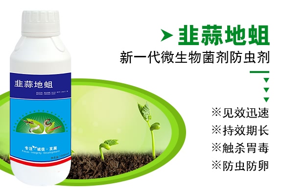 �������-����ɭ