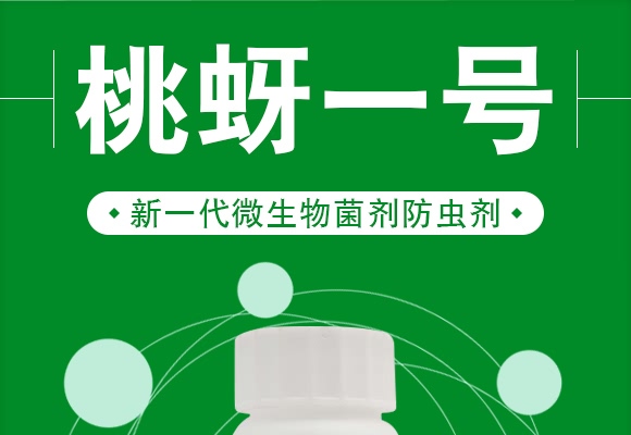 ����һ̖-����ɭ