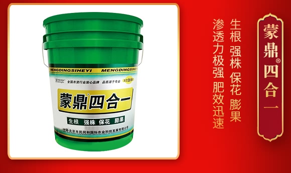 蒙鼎四合-活力加強(qiáng)型-豐民同和 蒙鼎四合-活力加強(qiáng)型-豐民同和