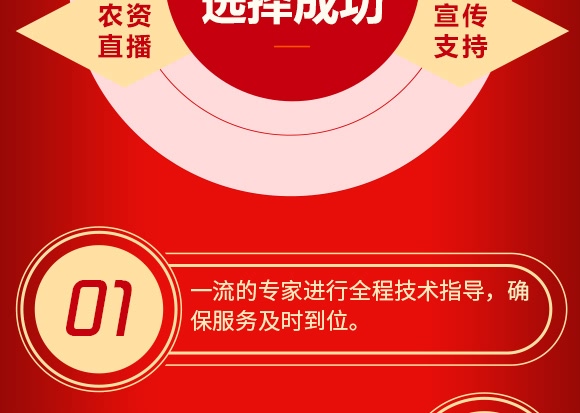 蒙鼎四合-活力加強(qiáng)型-豐民同和 蒙鼎四合-活力加強(qiáng)型-豐民同和