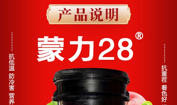 蒙力28-豐民同和 蒙力28-豐民同和