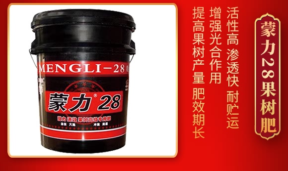 蒙力28-豐民同和 蒙力28-豐民同和