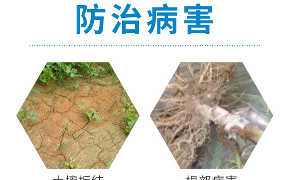 ��΢��Ԫ�ؾ���w��-��˹���r(n��ng)