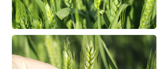 ����666-���N�F��-����N�I(y��)