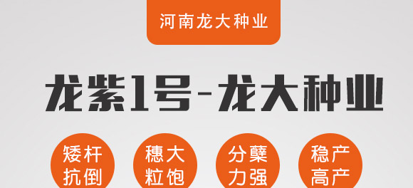 ����1̖(h��o)-�����F��-����N�I(y��)