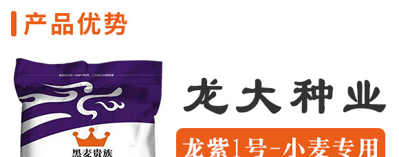 ����1̖(h��o)-�����F��-����N�I(y��)