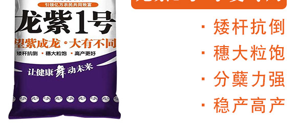 ����1̖(h��o)-�����F��-����N�I(y��)