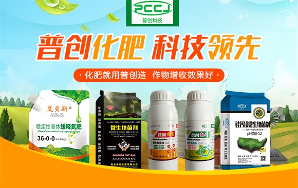 5�|΢�������-�Մ�(chu��ng)�Ƽ�