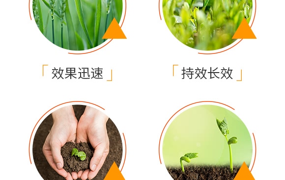 5�|΢�������-�Մ�(chu��ng)�Ƽ�