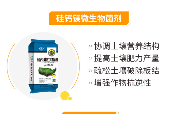 5�|΢�������-�Մ�(chu��ng)�Ƽ�