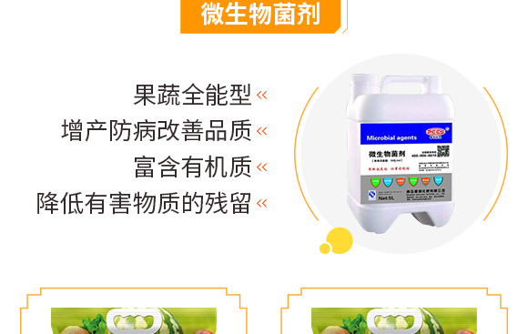 5�|΢�������-�Մ�(chu��ng)�Ƽ�