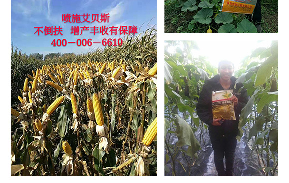 5�|΢�������-�Մ�(chu��ng)�Ƽ�