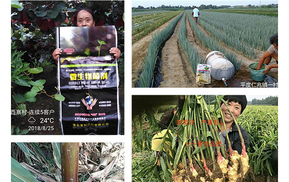 5�|΢�������-�Մ�(chu��ng)�Ƽ�