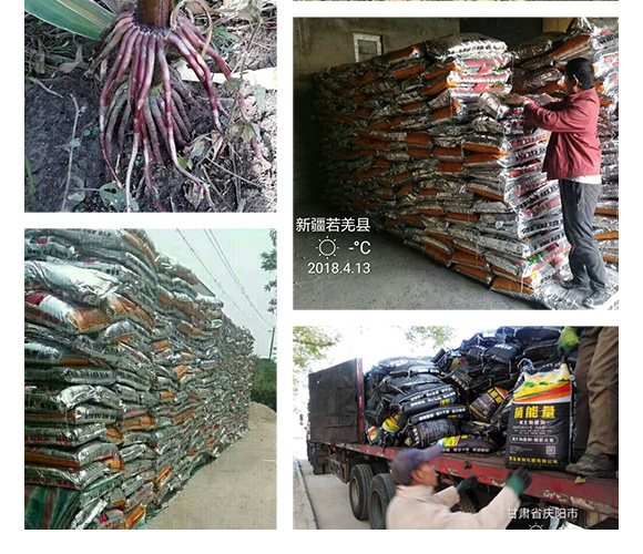 5�|΢�������-�Մ�(chu��ng)�Ƽ�