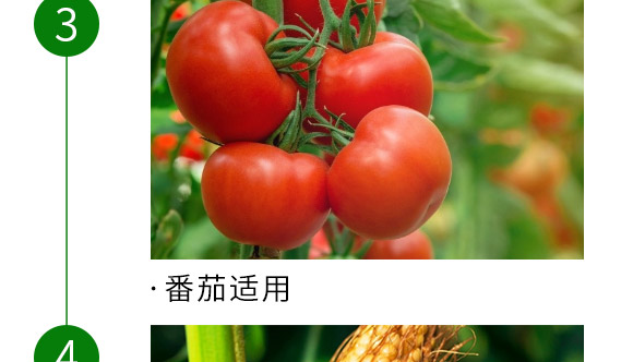 ��(f��)�Ϸ���15-15-15-�Z����-�Ѓ�(ch��)�Z