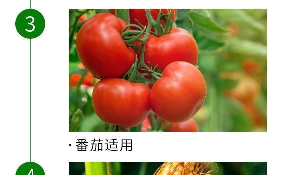 �ͺϷ���25-12-8-�Z����-�Ѓ��Z