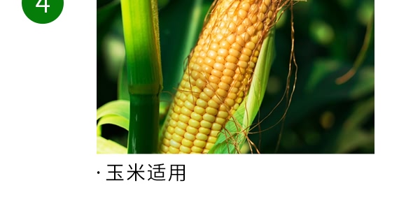 �ͺϷ���25-12-8-�Z����-�Ѓ��Z