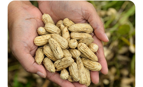 �ͺ�΢�������-������2�|/�ˣ�-�F�컯