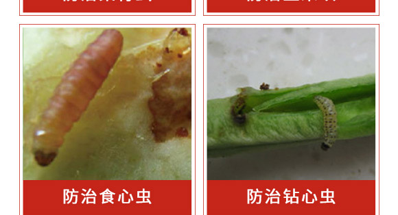 �׾S���x����-ʭ����-�����r��