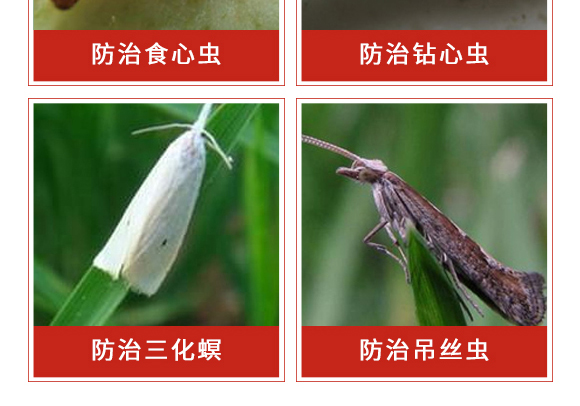 �׾S�����x��-ʭ����-����