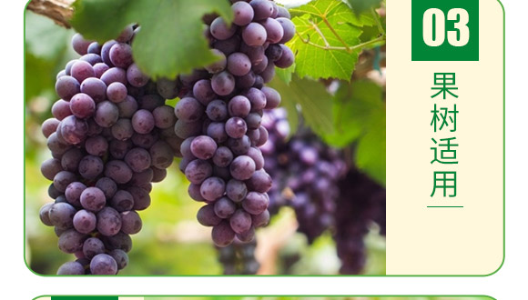 ����Ԫ��ˮ�ܷ�13-7-+TE-�°��~��