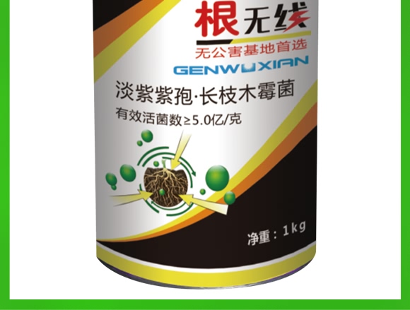 ΢�������-���o��-���_(d��)