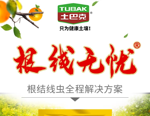 ����(xi��n)�o(w��)�n(y��u)-ʿ�Ϳ�-�S��