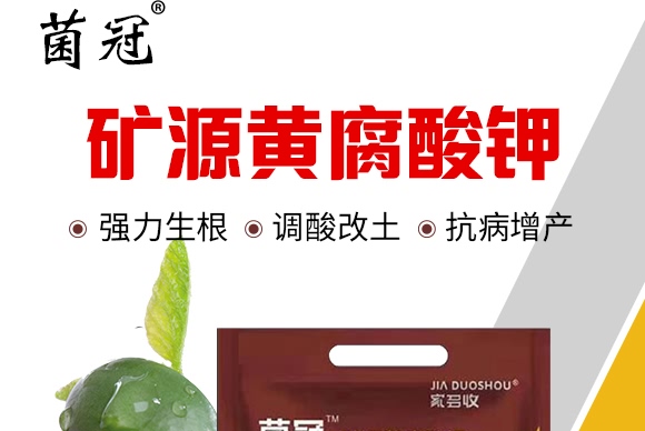 菌冠礦源黃腐酸鉀-五谷豐 菌冠礦源黃腐酸鉀-五谷豐