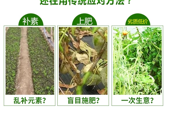 菌冠礦源黃腐酸鉀-五谷豐 菌冠礦源黃腐酸鉀-五谷豐