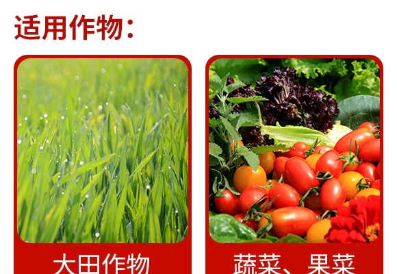 3%�װ������S���ر������}΢�鄩-����-�����r(n��ng)