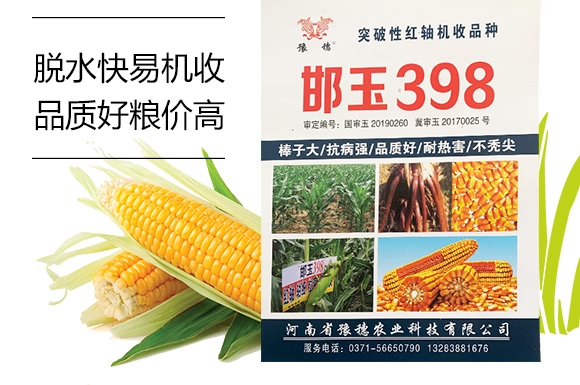 ����398-���׷N��-ԥ���r(n��ng)�I(y��)