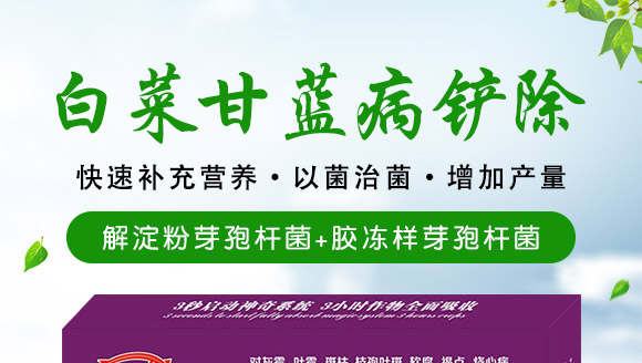 ΢�����-�ײ˸��{(l��n)���P��-���S��