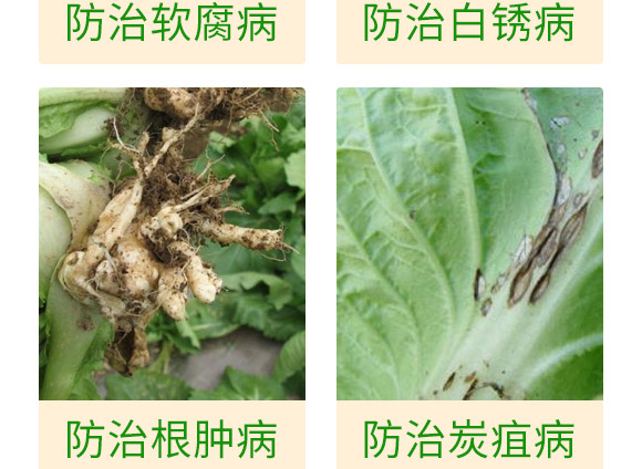 ΢�����-�ײ˸��{(l��n)���P��-���S��