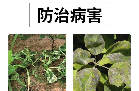 ΢�����-��������P��-���S��