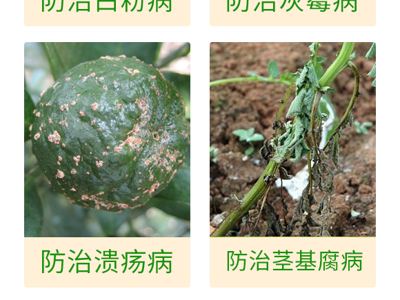 ΢�����-��������P��-���S��