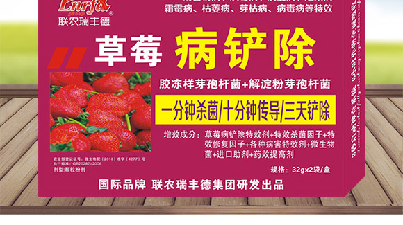 ΢�����-��ݮ���P��-���S��