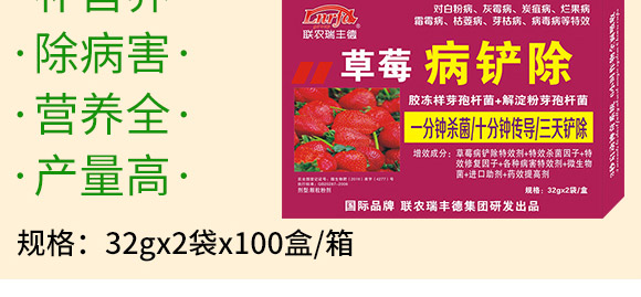 ΢�����-��ݮ���P��-���S��