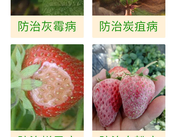 ΢�����-��ݮ���P��-���S��