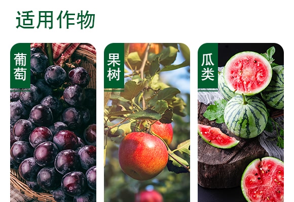 1000ml���ݿ�ˮ��-砵��C-���ɽ�