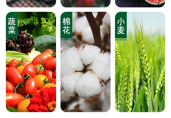 1000ml���ݿ�ˮ��-砵��C-���ɽ�