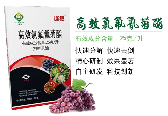 �ȷ������-����-���ɽ�