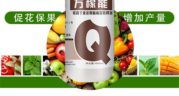 �y�x���ز�������ք�-�f����-Ǭ�r(n��ng)