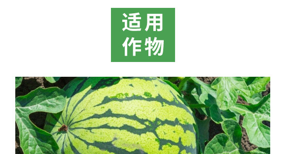 萬稼能13元素(瓶裝)-乾農(nóng) 萬稼能13元素(瓶裝)-乾農(nóng)