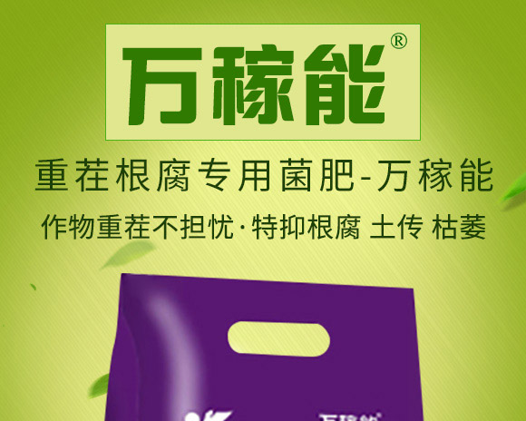 �ز�������þ���-�f(w��n)����-Ǭ�r(n��ng)