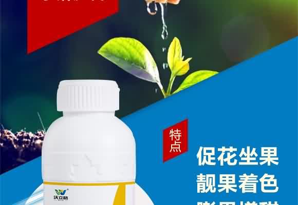 大量元素水溶肥料0-500-600+TE-沃碧優(yōu)-沃立格 大量元素水溶肥料0-500-600+TE-沃碧優(yōu)-沃立格