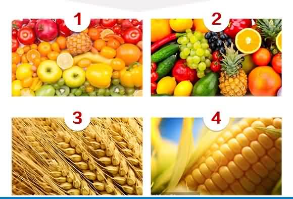 大量元素水溶肥料0-500-600+TE-沃碧優(yōu)-沃立格 大量元素水溶肥料0-500-600+TE-沃碧優(yōu)-沃立格