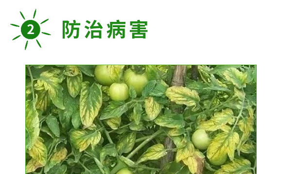 ȫ�aһ̖-������-�����S