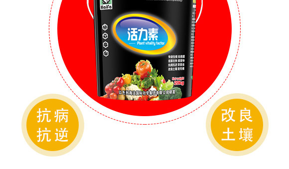 ������-����-�������H