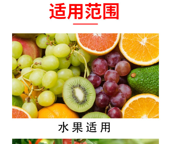 ������-����-�������H